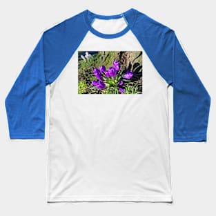 Purple Crocus Baseball T-Shirt